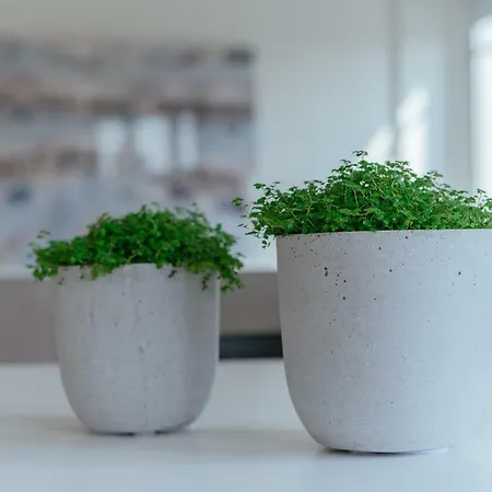 Baixa24 - Downtown Bliss W/ Amazing Natural Light Apartamento