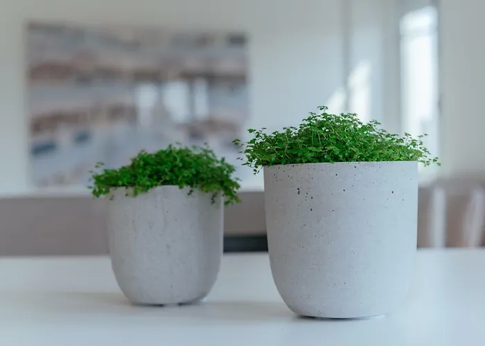 Baixa24 - Downtown Bliss W/ Amazing Natural Light דירה